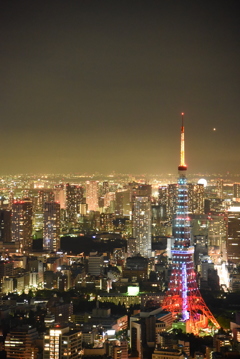 東京スカイビューより①