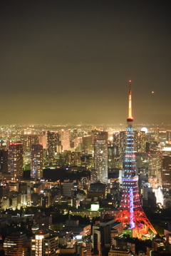 東京スカイビューより①