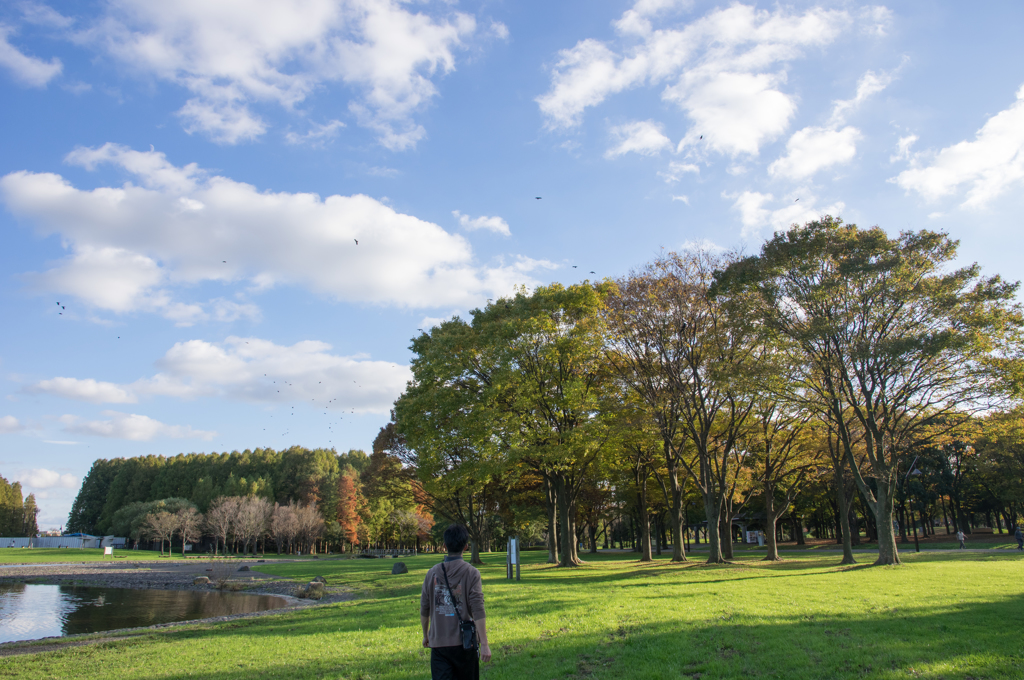 水元公園にて #2