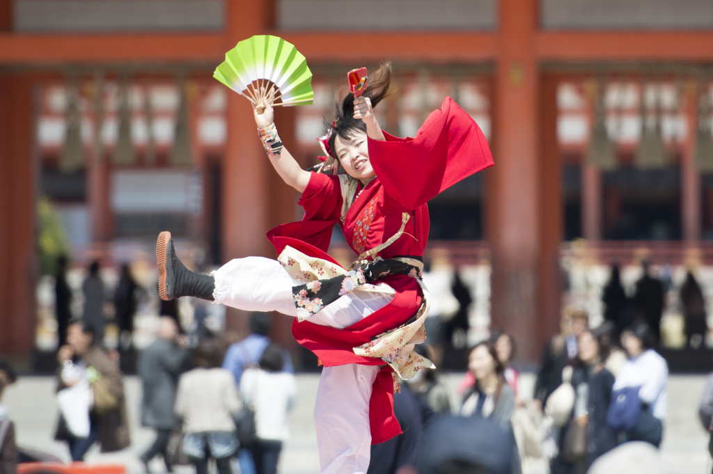 京都さくらよさこい