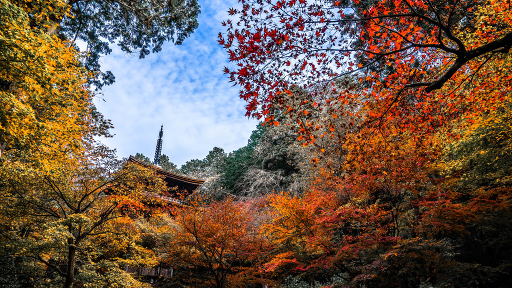 金剛輪寺1