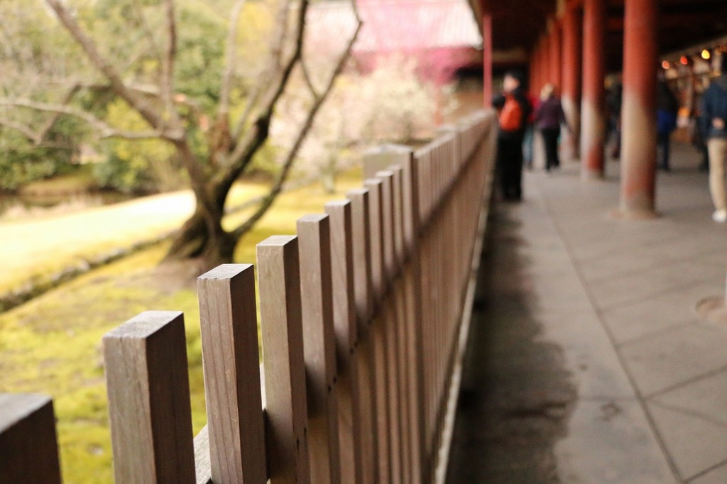 東大寺の通路｡
