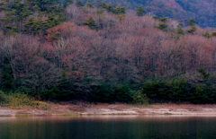 初冬の湖畔にて