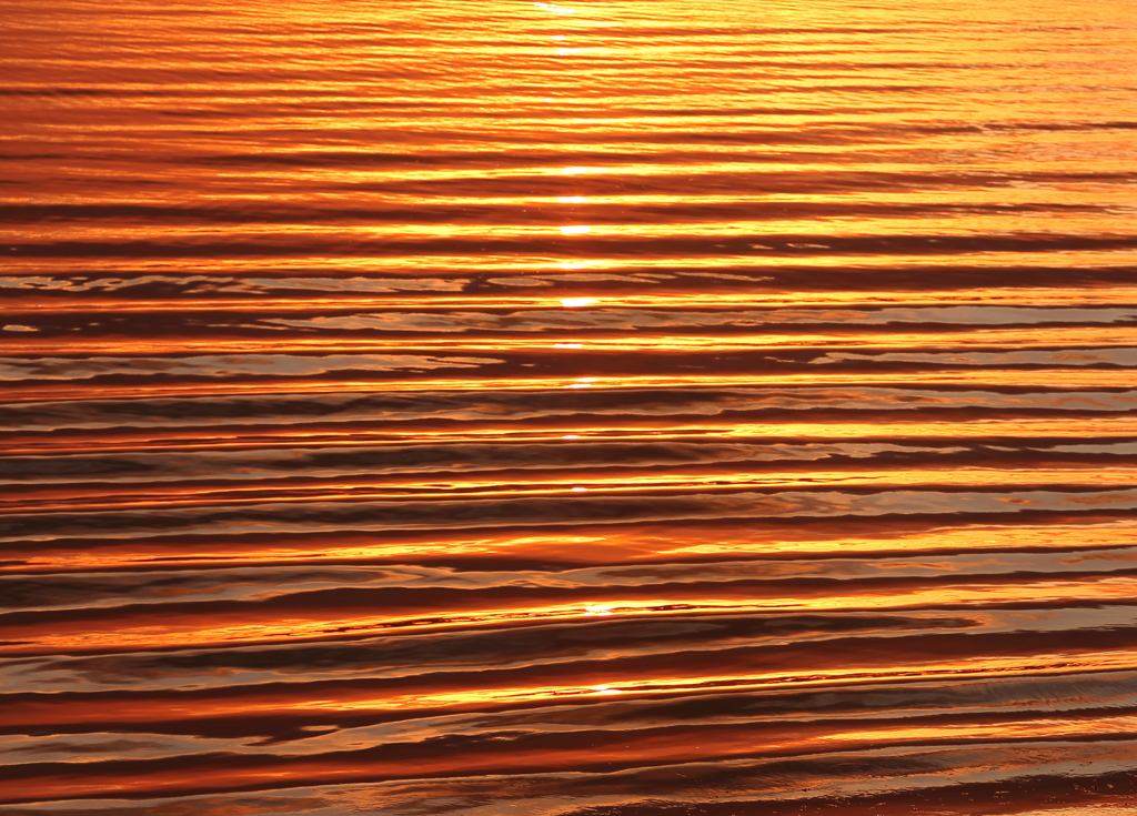 Light Wave