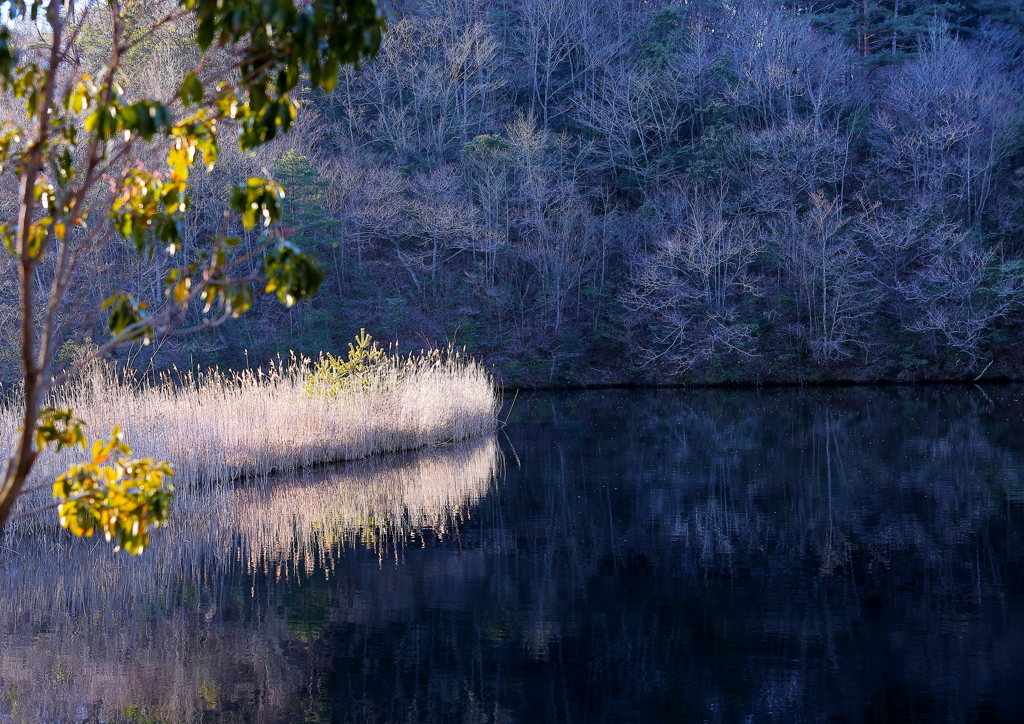 Morning in Benimansaku Lake