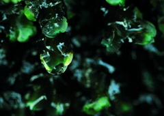 エイリアン登場か？それとも.....