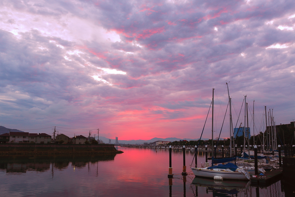 Marinaの朝は、二度焼ける