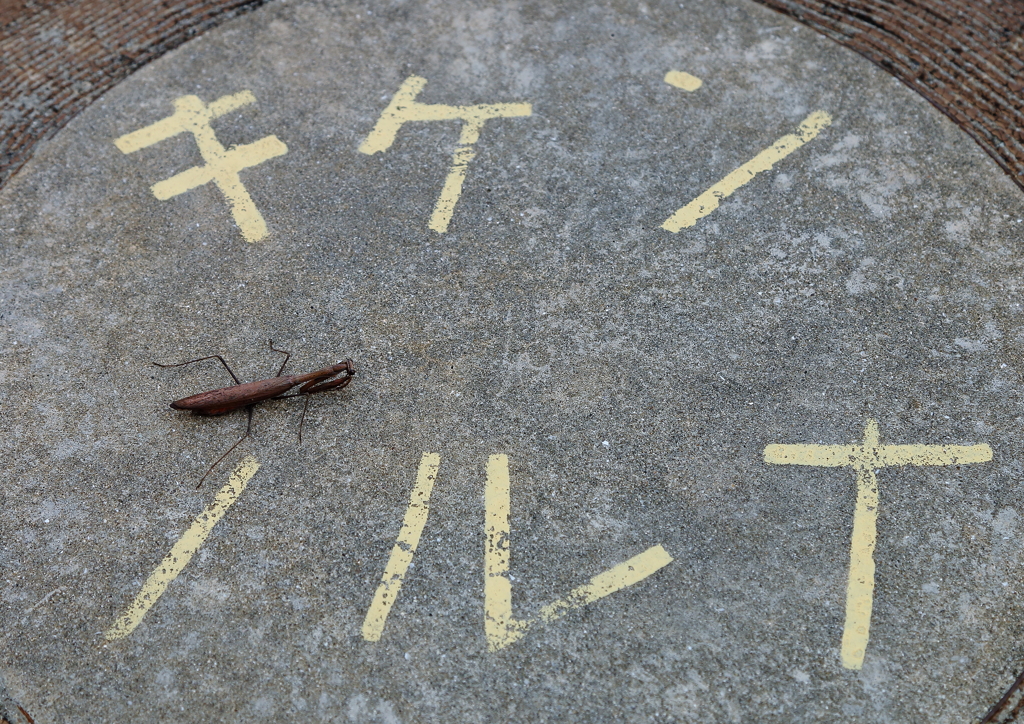 そりゃあ無理　字が読めない !