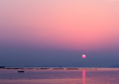 Pearl Pink in Jigozen