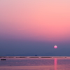 Pearl Pink in Jigozen