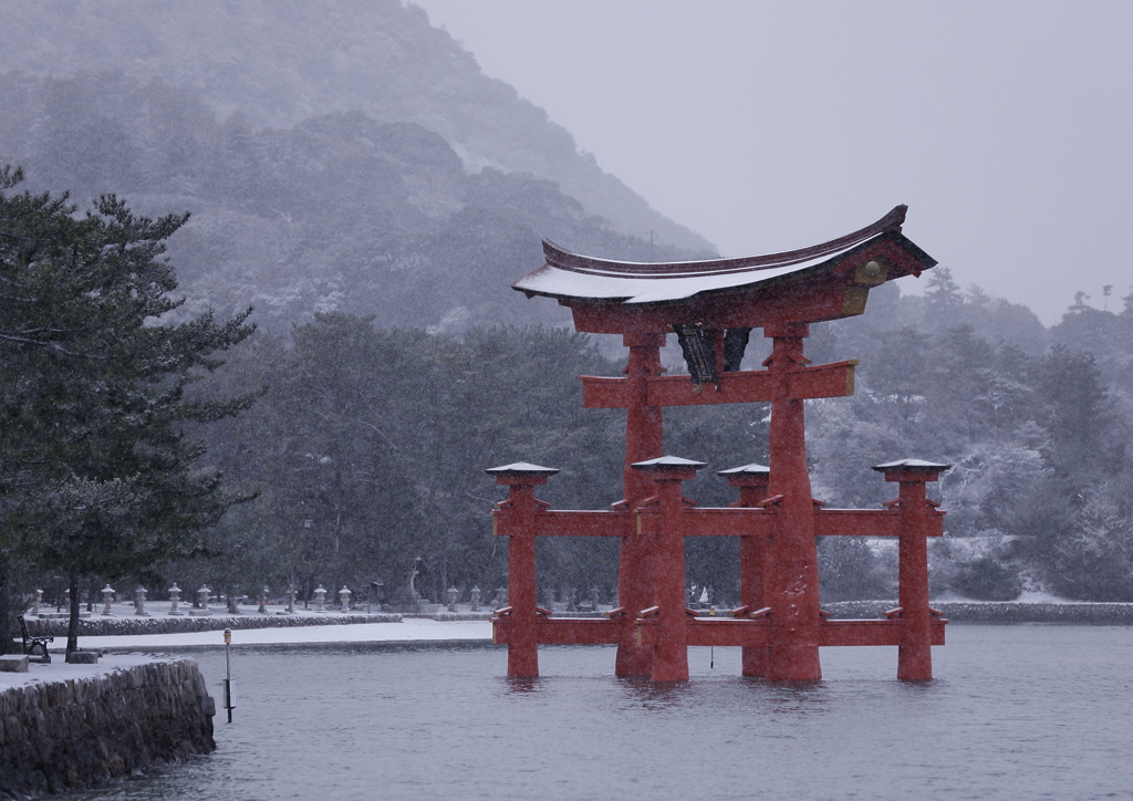 雪の大鳥居