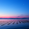 三日月と朝焼けの牡蠣棚