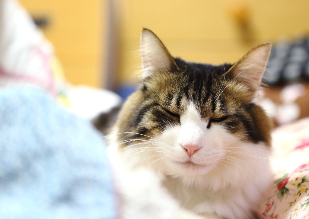 そっと撮る=^_^=