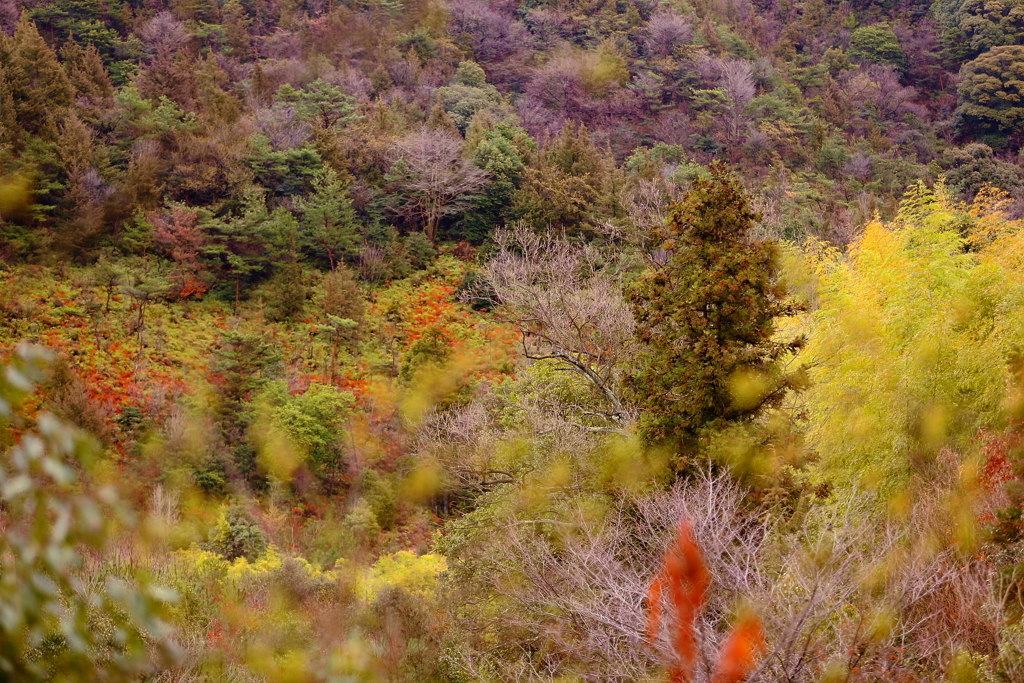 山も春色に