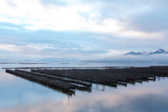 牡蠣棚から美しき神の島をのぞむ