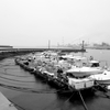雨の漁港