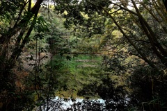 高畑溜池の朝