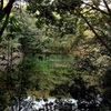 高畑溜池の朝