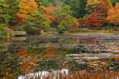 蛇の池の紅葉