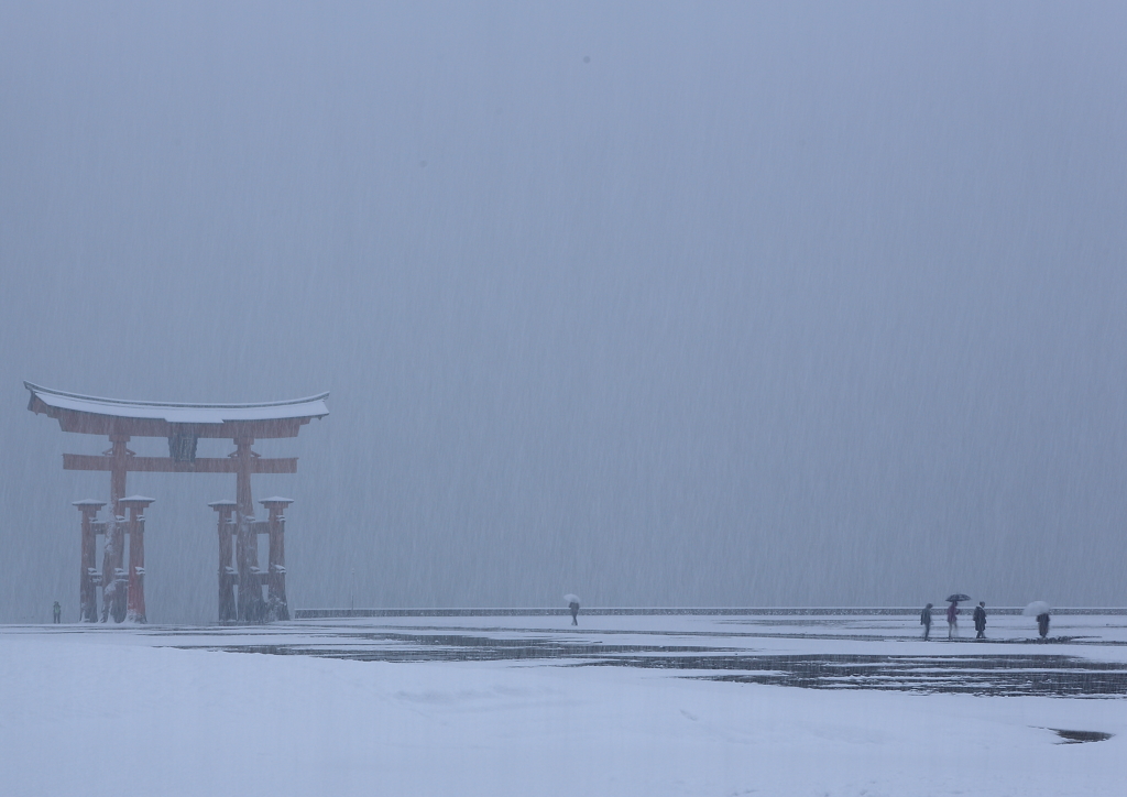 Snow The Miyajima 1