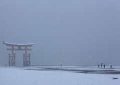 Snow The Miyajima 1