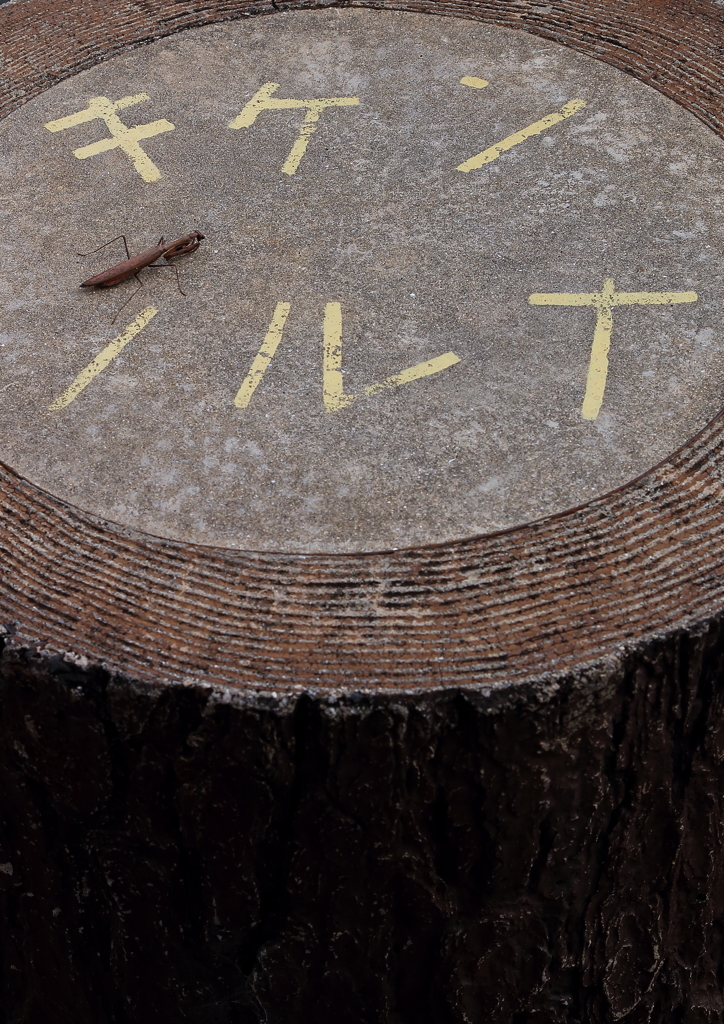 もう手遅れ　ヘロヘロ　字は読めない!