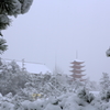 Snow The Miyajima 2