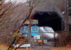 撮れるか 撮れぬか 撮ってみろ!!!
