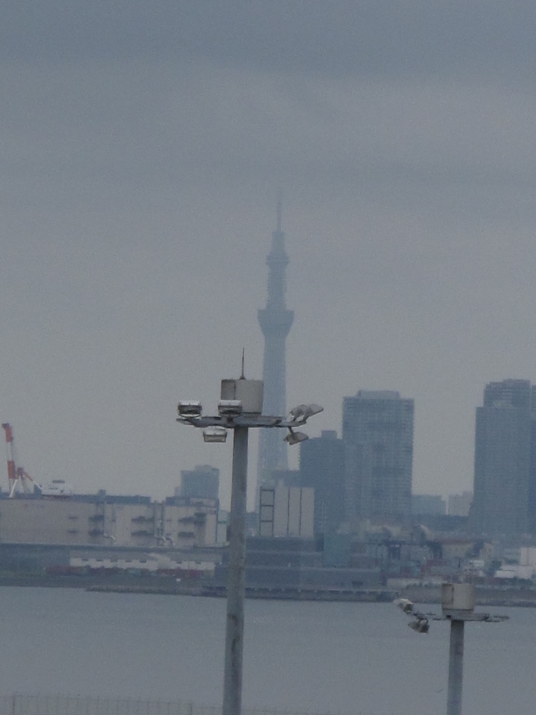 羽田空港から東京スカイツリーを望む By 赤い小松菜 猫 Id 写真共有サイト Photohito