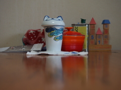 【写真技術】似たような環境と構図の写真を、違うレンズで撮る