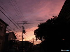 月曜日の夕焼け