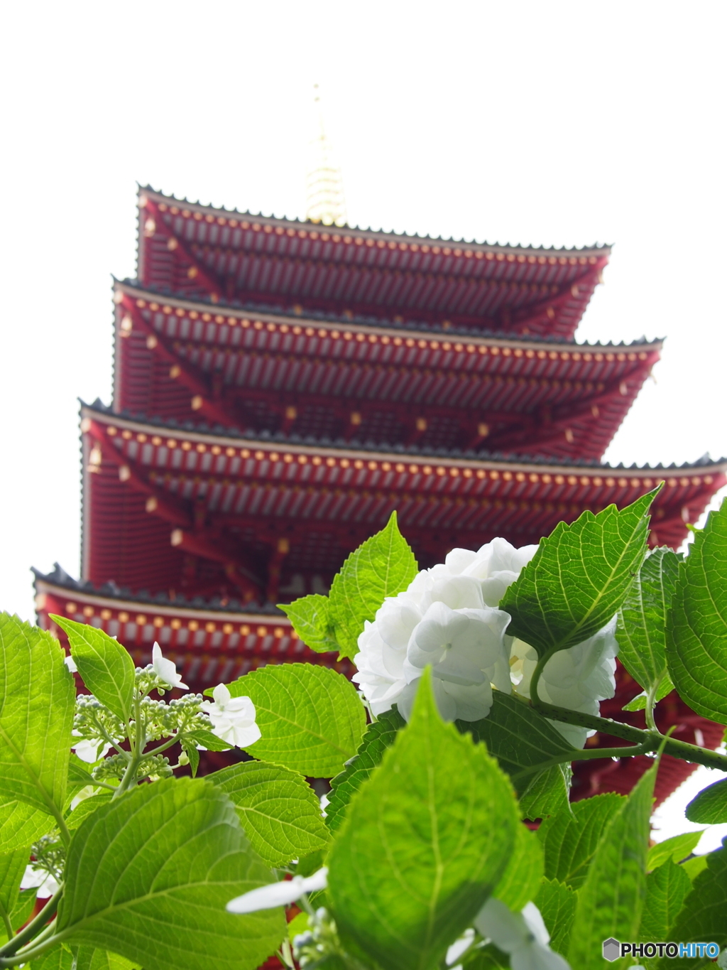 五重塔