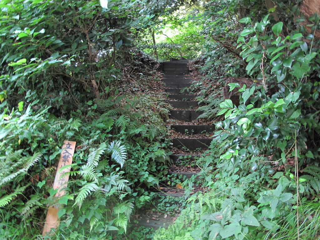 写真集「この先に何が……(江ノ島編)」