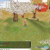 オンラインゲームでも花見♪