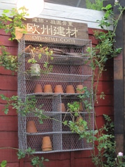 国バラ写真集「棚コレ」