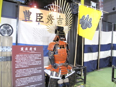 TGS2009