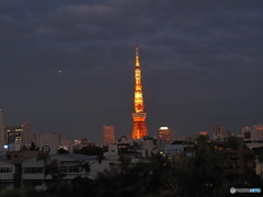 東京タワーfrom六本木ヒルズ