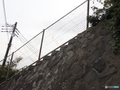 原野へと続く・・・