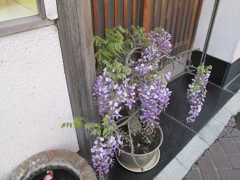 鎌倉(1) 街並み編