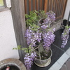 鎌倉(1) 街並み編