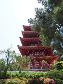 高幡不動尊'15