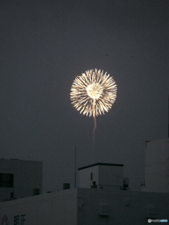 東京湾大華火祭