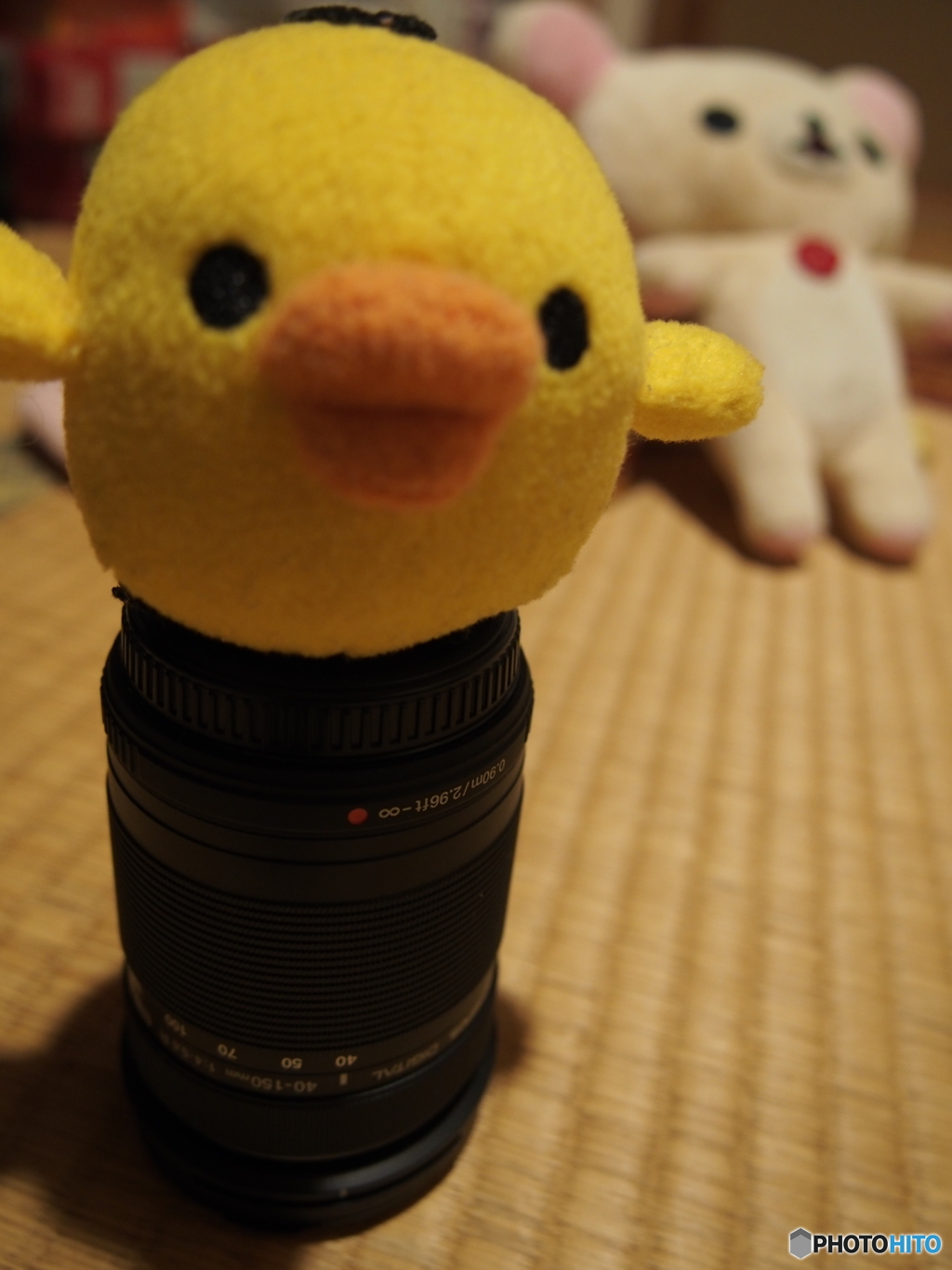 望遠ズームの出番が無い……