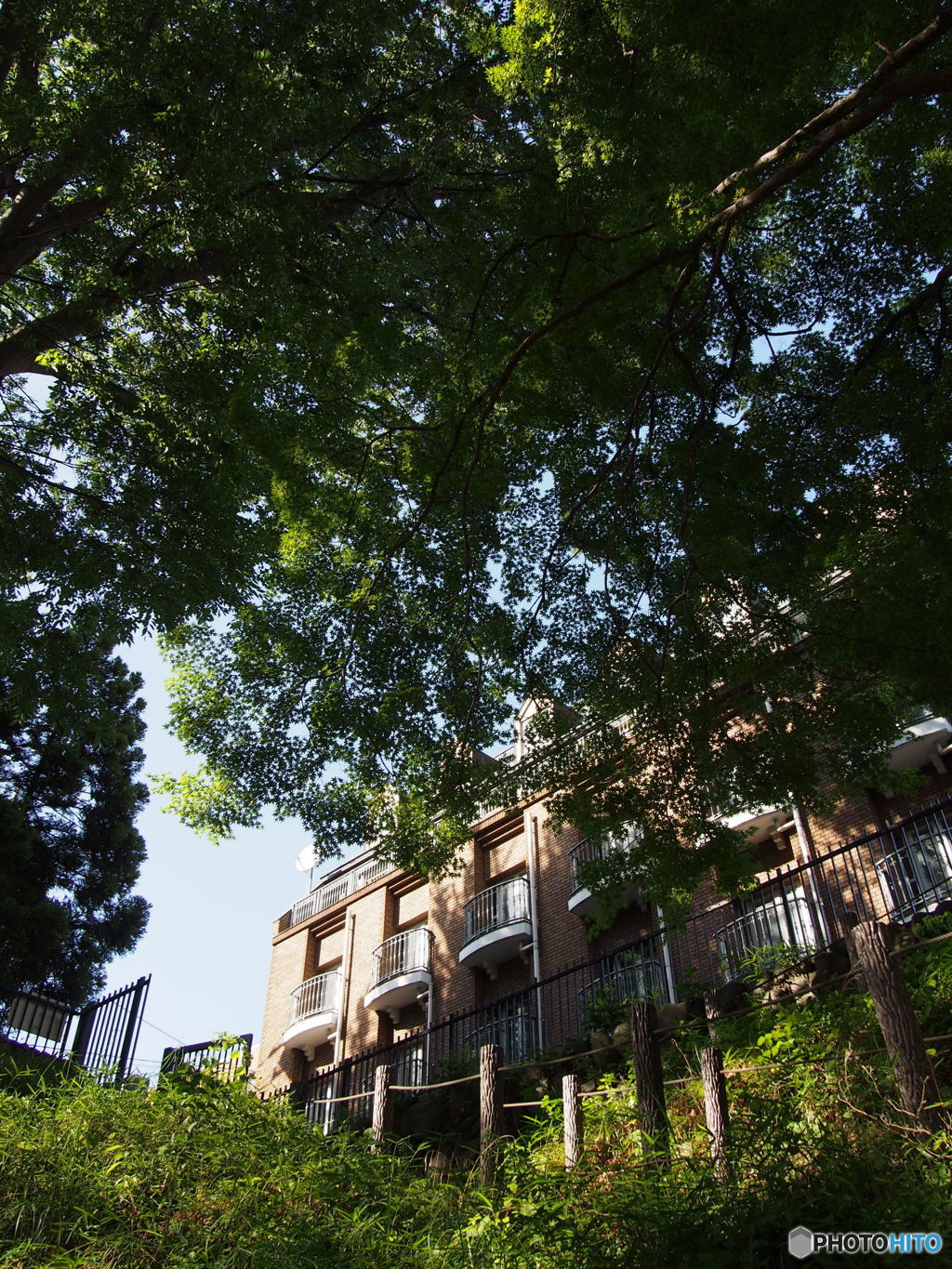 羽村のまいまいず井戸