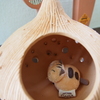 ダブルネコ