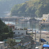真鶴港
