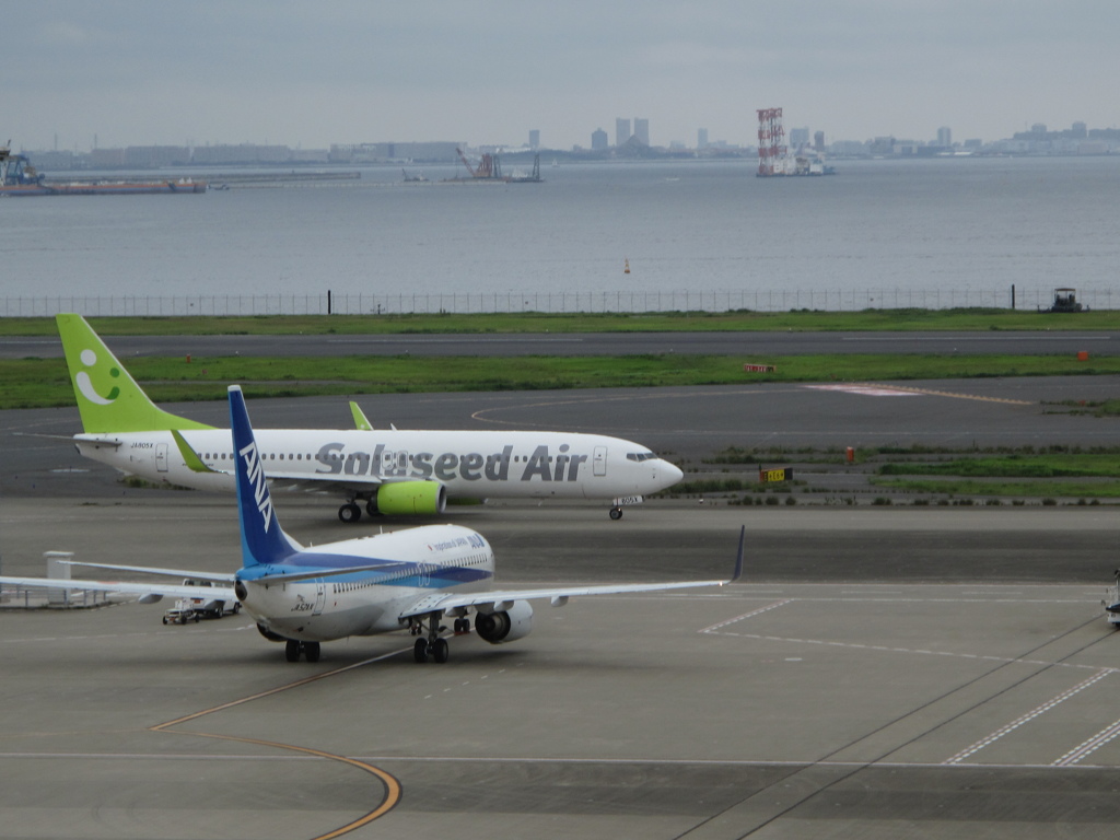 ドレミファ……