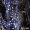 六本木ヒルズ クリスマス2011