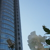 森タワーと白バラ〜六本木ヒルズ2015