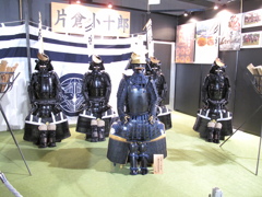 TGS2009